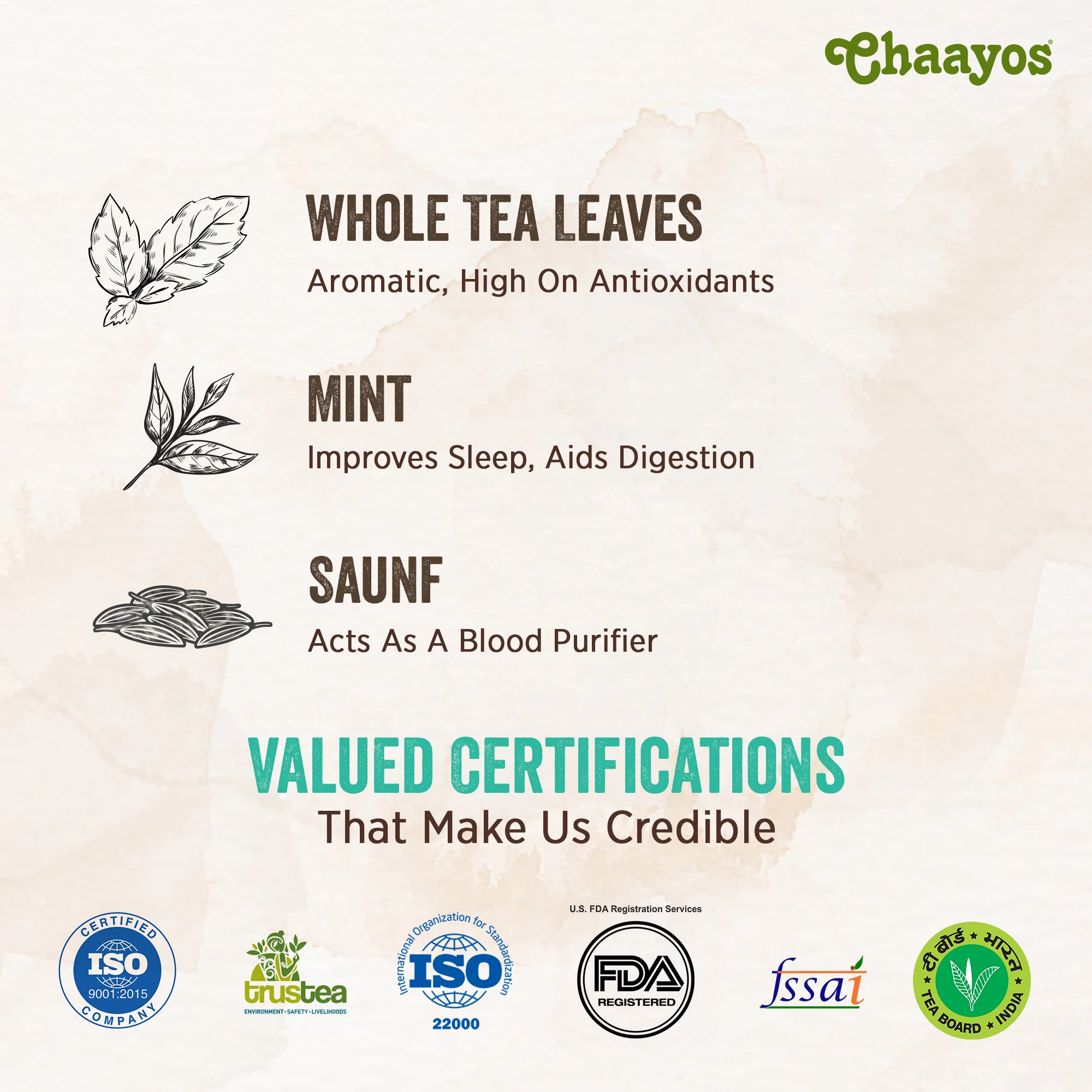Mint Saunf Green Tea Bags - Image 6
