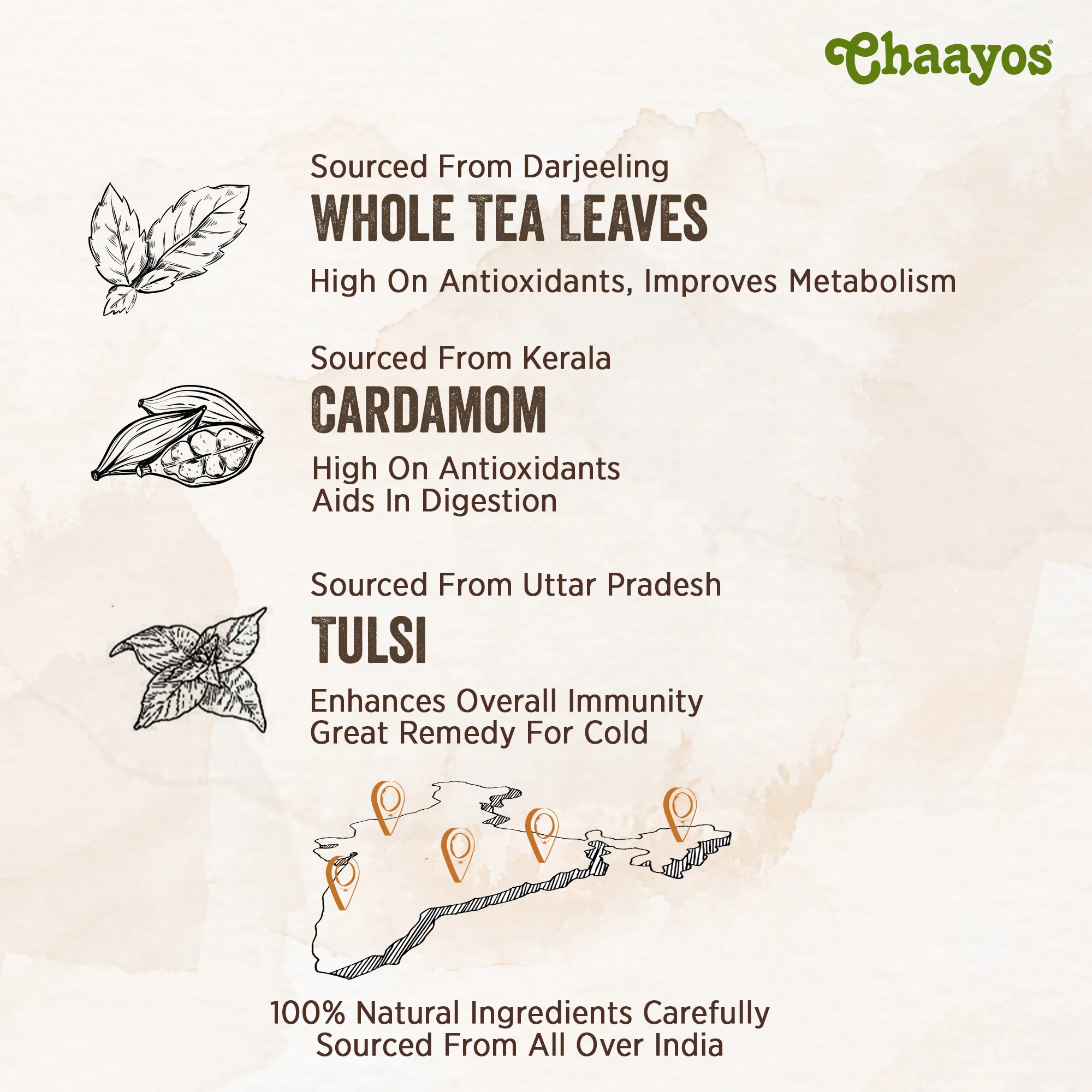 Chaayos Green Tea Bags - Tulsi Cardamom - Image 5